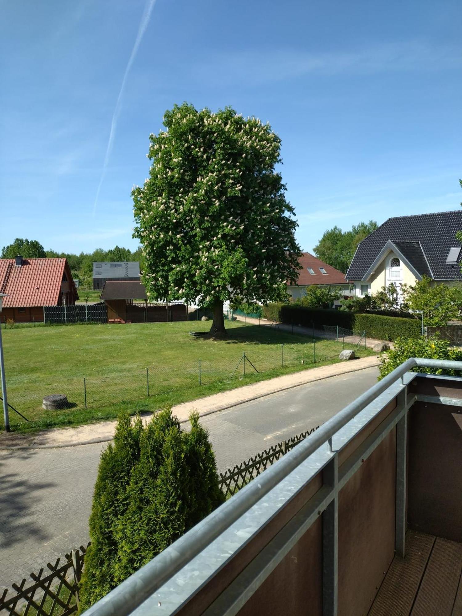 Ferienhaus Rechlin See Exterior foto